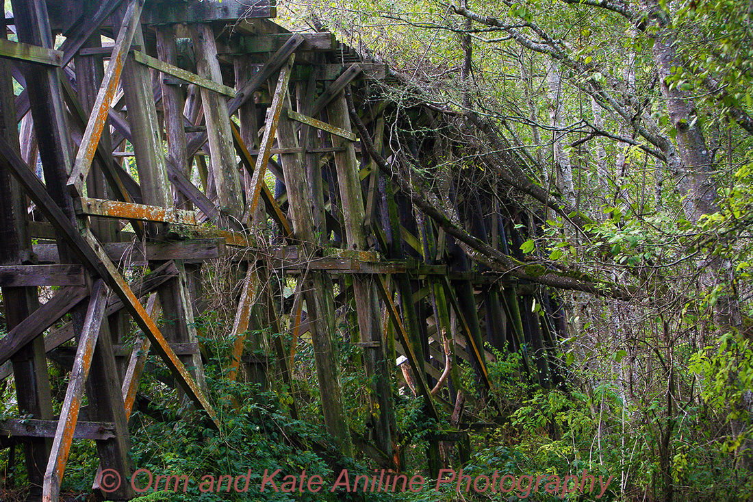 Old Railroad Bridge near Blue Lake