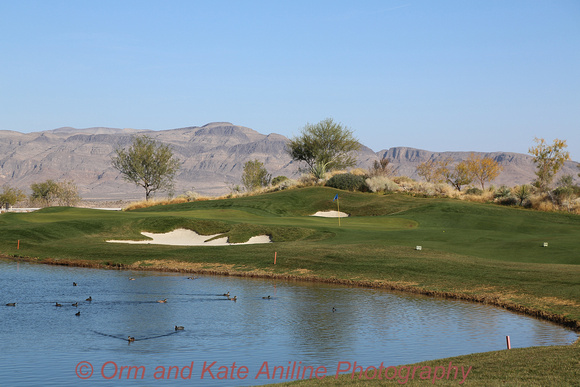 coyote springs 11-17-13